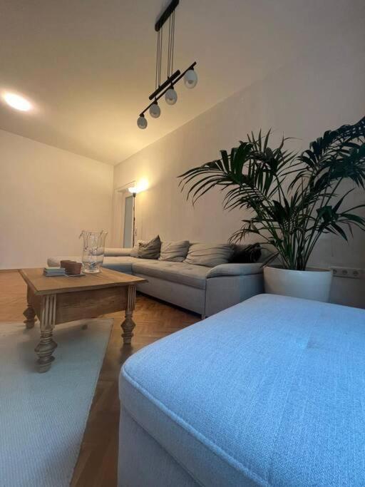 Ganzes Haus In Der Altstadt, Ideal Fuer 2 Personen, 4 Gaeste Moeglich Квакенбрюк Екстер'єр фото